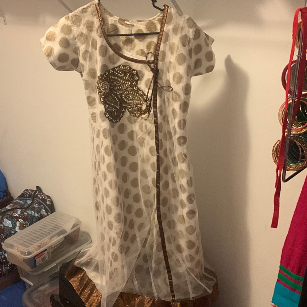 Indian Gown / Mehendi Dress